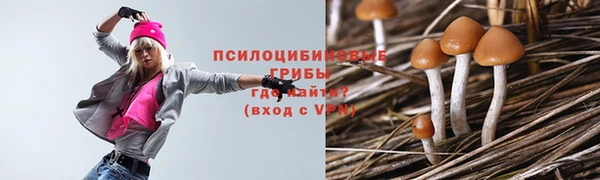 тгк Алексин