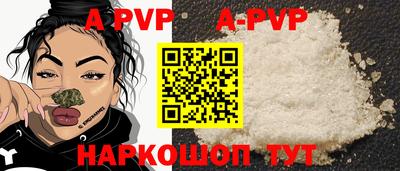 стаф Донской
