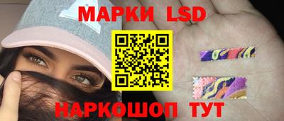 стаф Донской