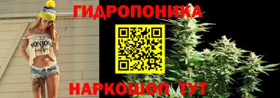 тгк Славянск-на-Кубани