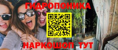 стаф Донской