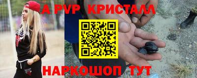 стаф Донской