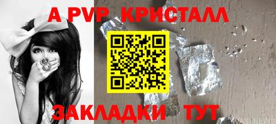 стаф Донской