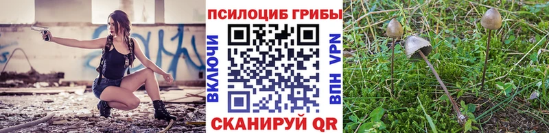 Псилоцибиновые грибы Psilocybine cubensis OMG ONION Нововоронеж