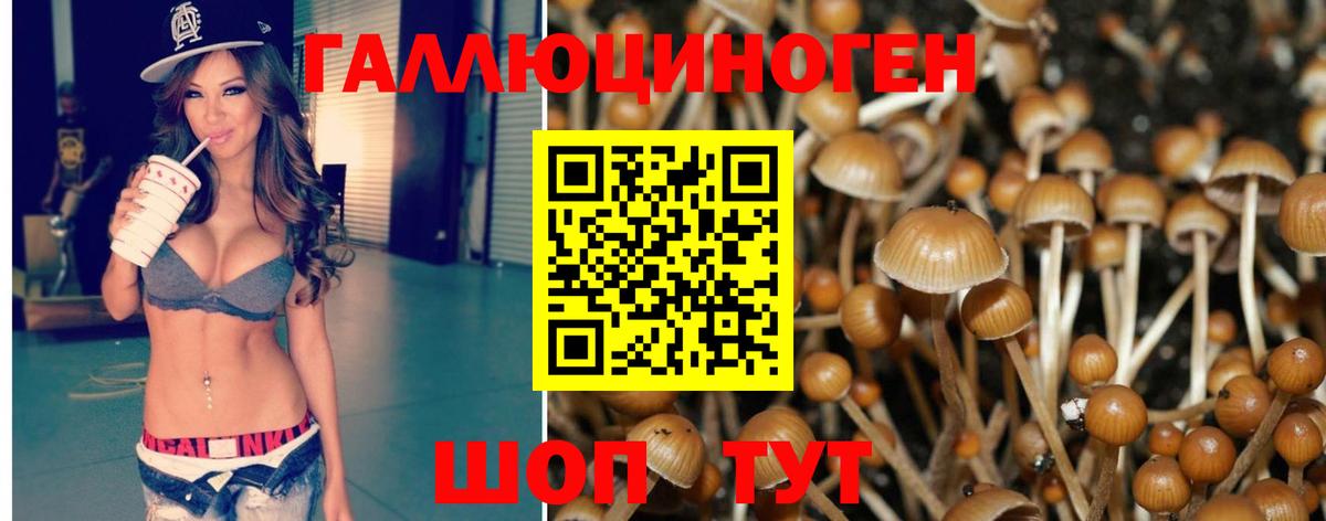 Нововоронеж  как найти закладки  Вход с VPN  Псилоцибиновые грибы Cubensis  Галлюциногенные грибы MAGIC MUSHROOMS 