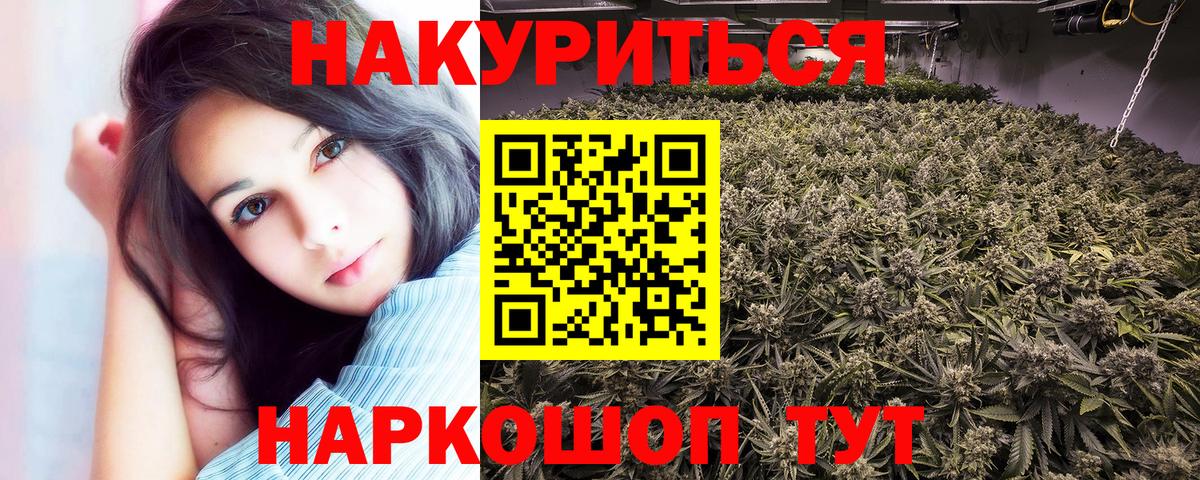 Конопля ГИДРОПОН  Канабис VHQ  Нововоронеж  Вход с VPN  Марихуана тримм 