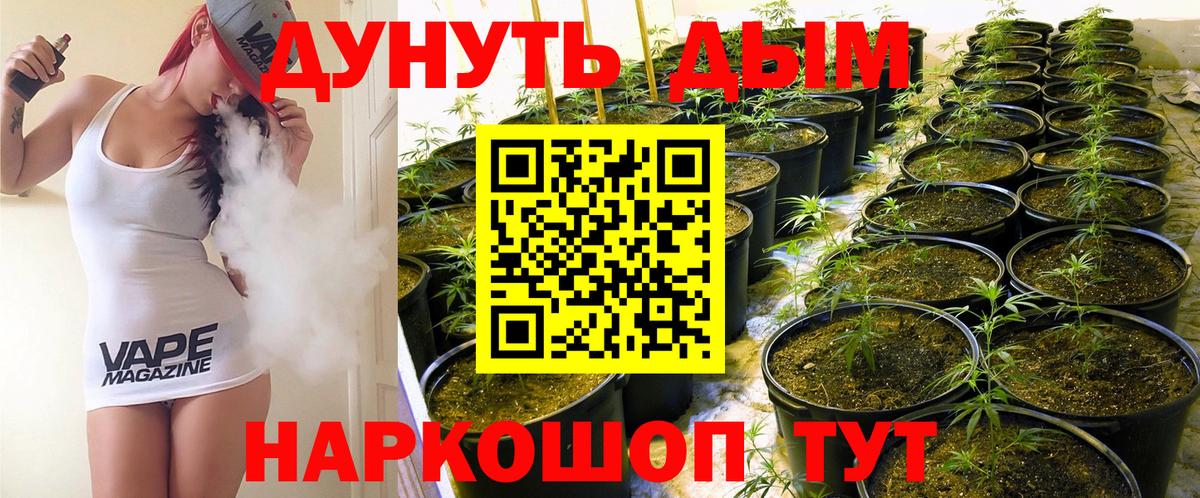 МАРИХУАНА план Нововоронеж