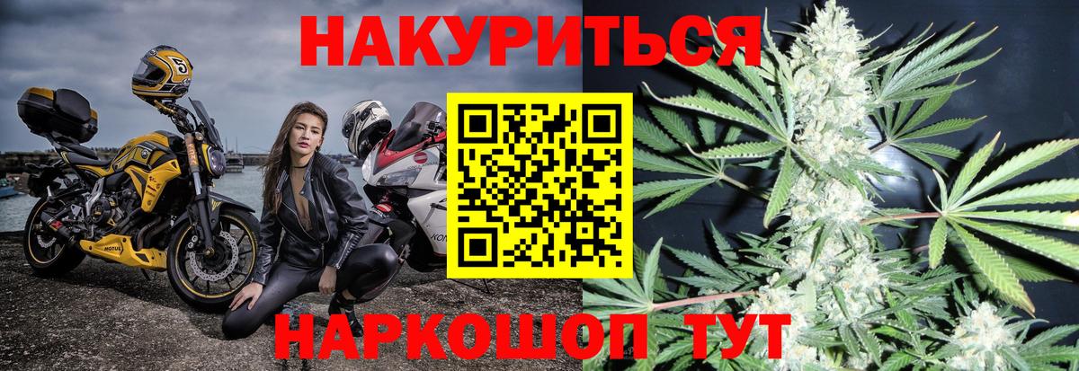Канабис Нововоронеж